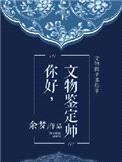 你好，文物鉴定师封面