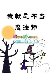 [无CP]我就是不当魔法师（穿越）封面